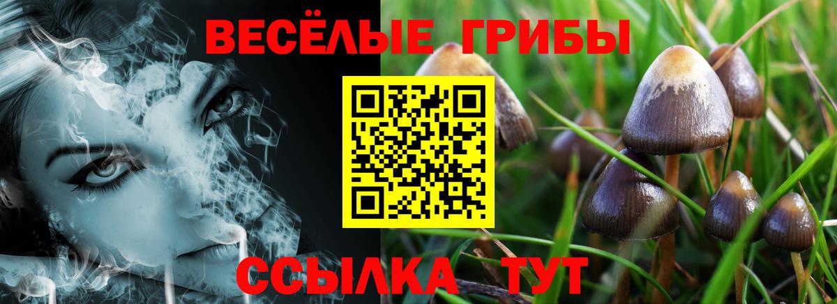 Черемхово  как найти закладки  Вход с VPN  Галлюциногенные грибы мицелий  Псилоцибиновые грибы мицелий 